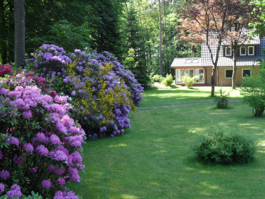Ferienwohnungen / Ferienhaus Wahlers بيسبينغين المظهر الخارجي الصورة